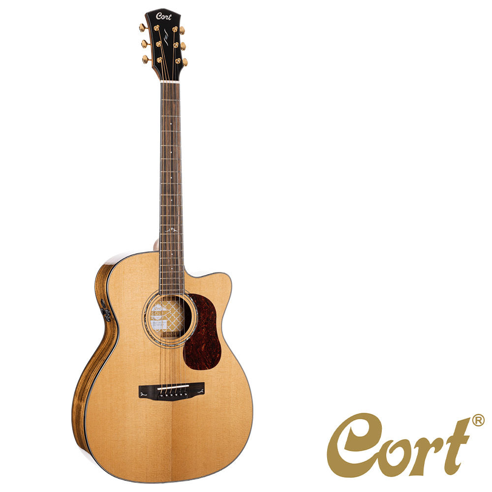 콜트 Cort Gold OC6 Bocote OM