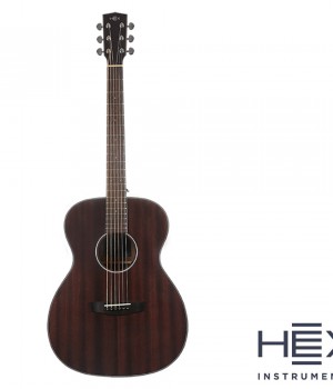 헥스기타 HEX F120 G