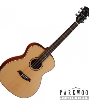 파크우드 Parkwood S22 입문용