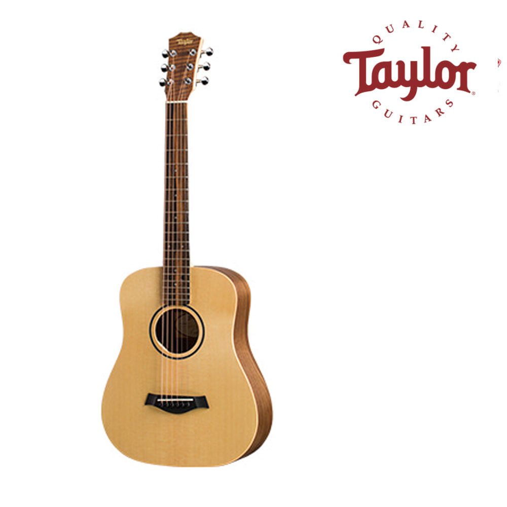 테일러 Taylor BT1