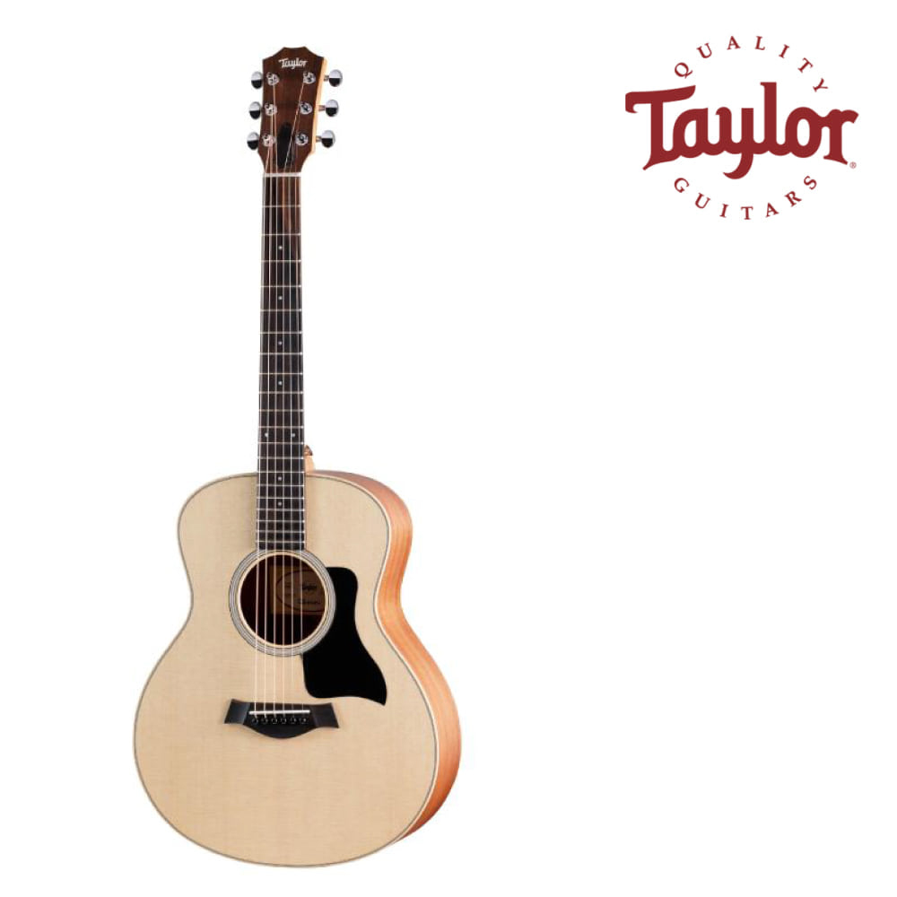 테일러 Taylor GS Mini Sapele