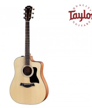 테일러 Taylor 110ce-S