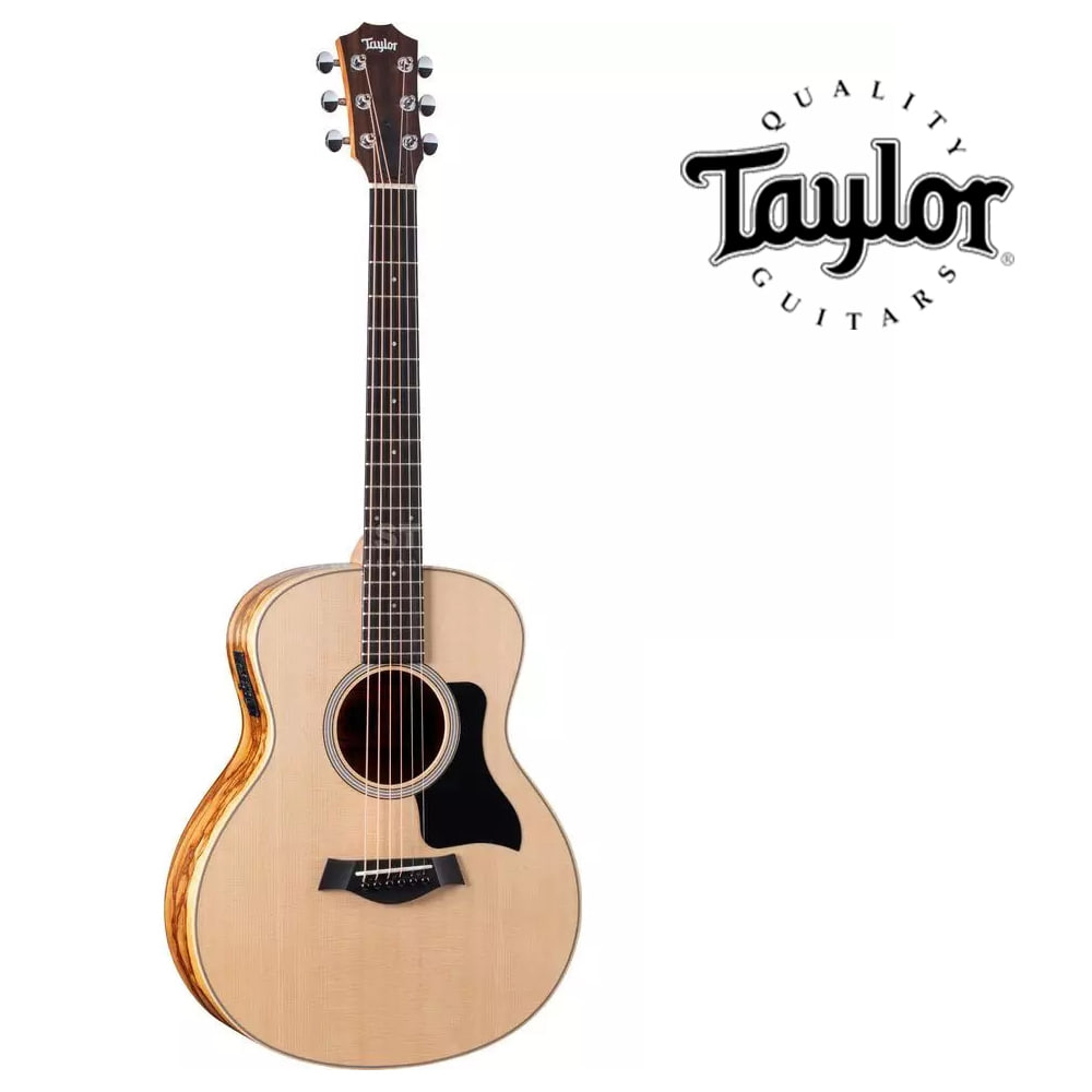 테일러 Taylor GS Mini-e Ziricote