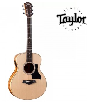 테일러 Taylor GS Mini-e Ziricote