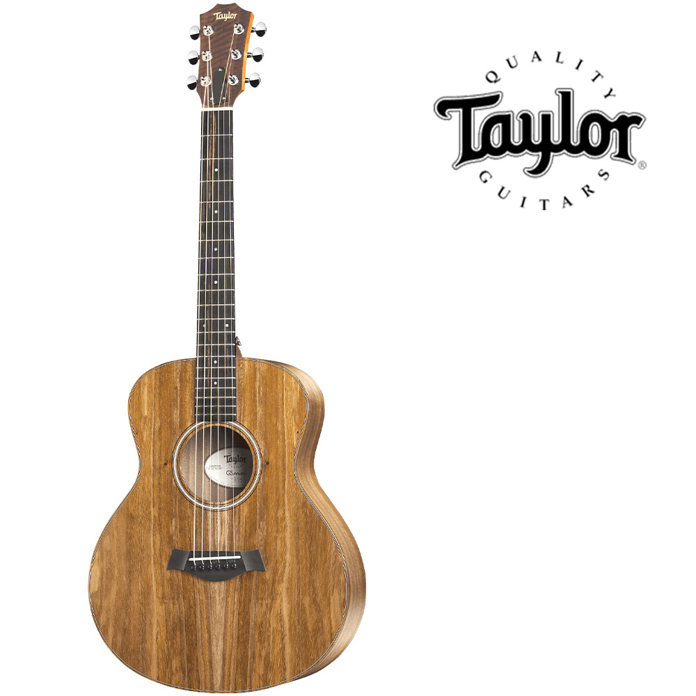 테일러 Taylor GS Mini-e Koa