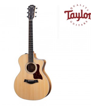 테일러 Taylor 214ce-K ES2