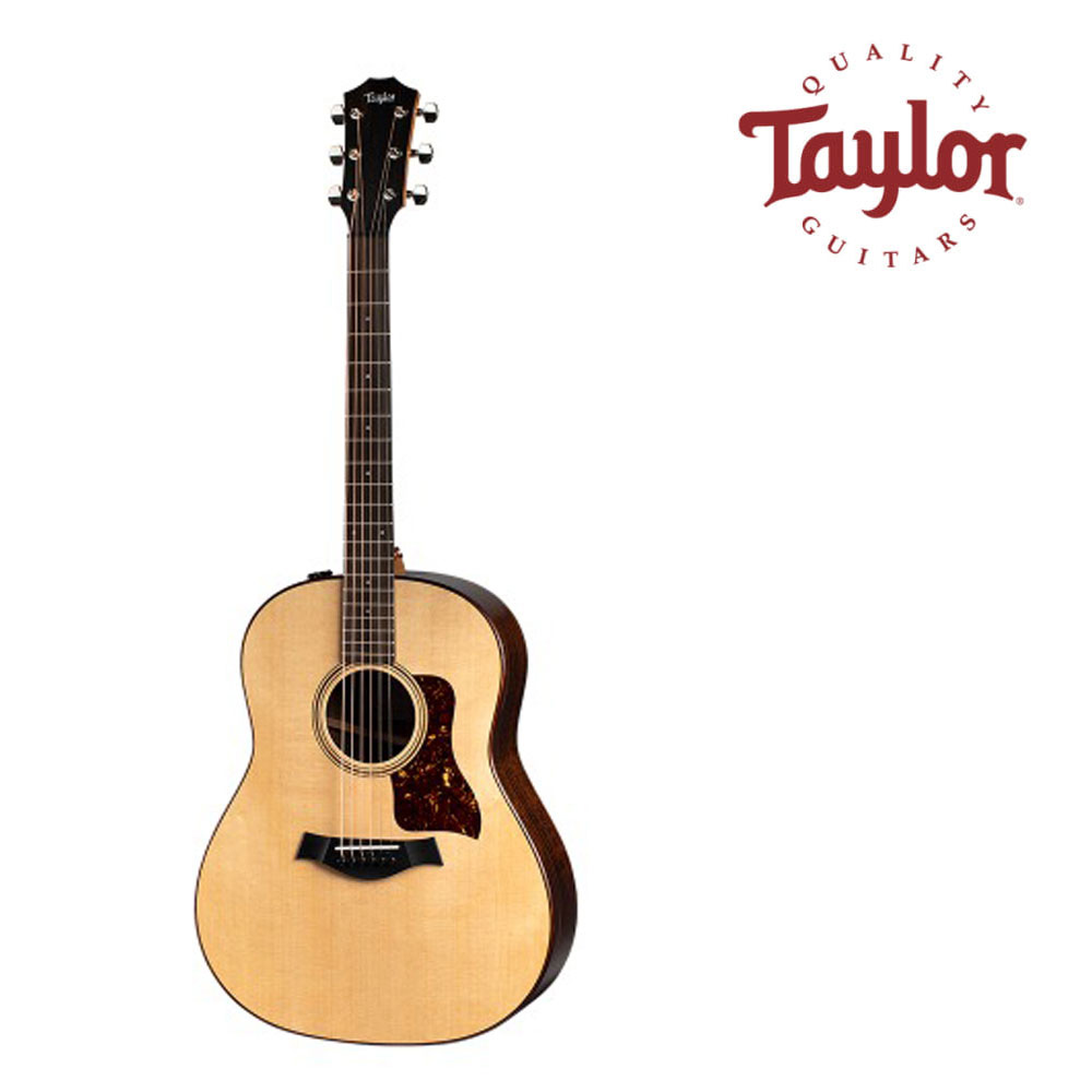 테일러 Taylor AD17e