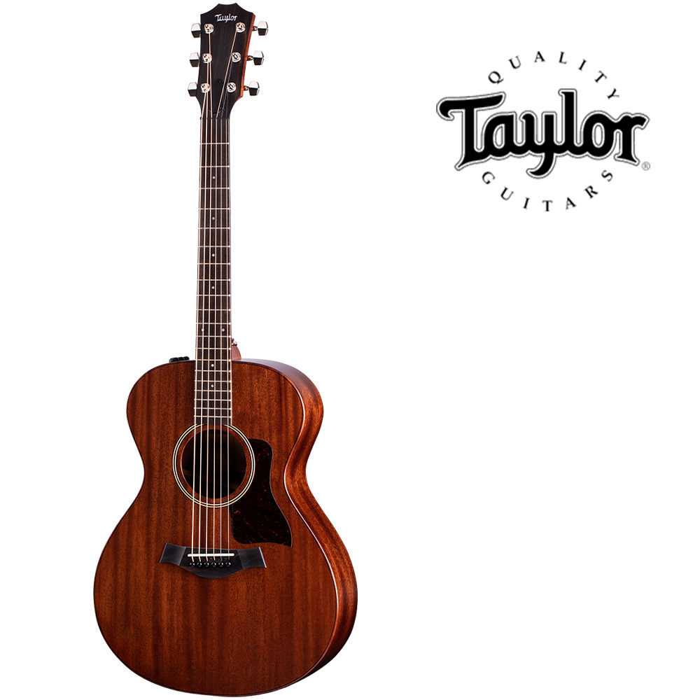 테일러 Taylor AD22e