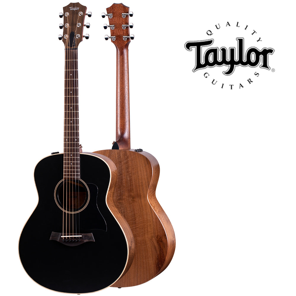 테일러 Taylor GTe Blacktop