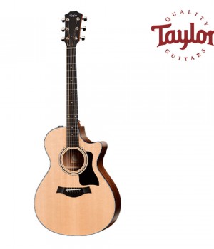 테일러 Taylor 312ce