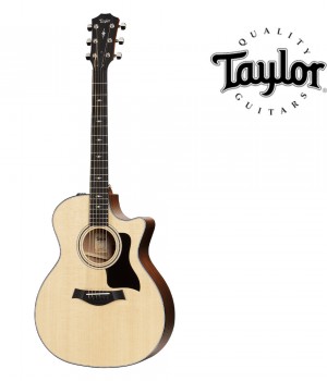 테일러 Taylor 314ce