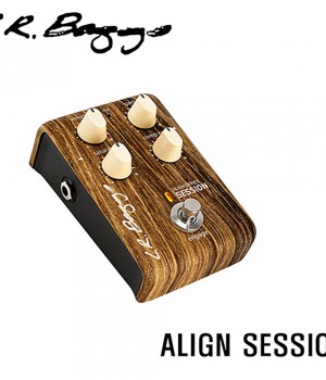 엘알백스 Align Session / L.R Baggs Align Session