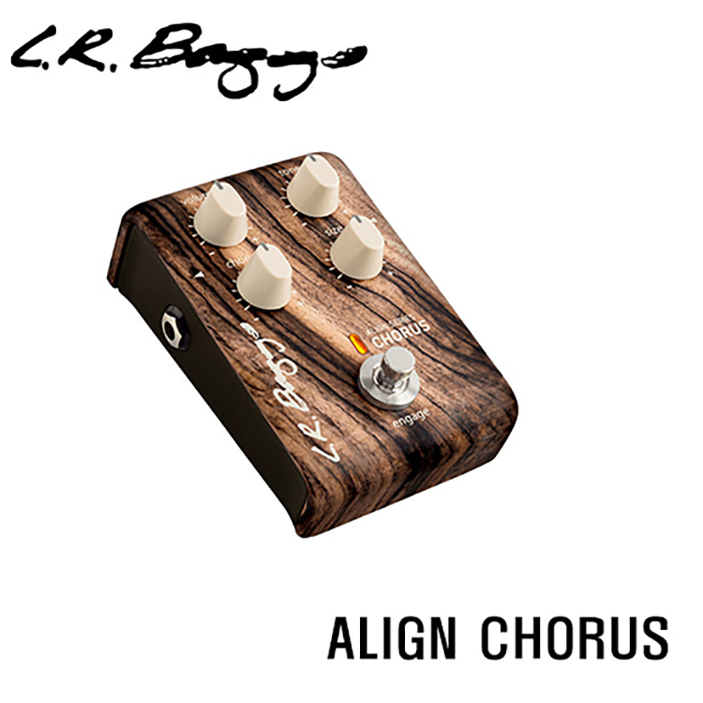 엘알백스 Align Chorus / L.R Baggs Align Chorus